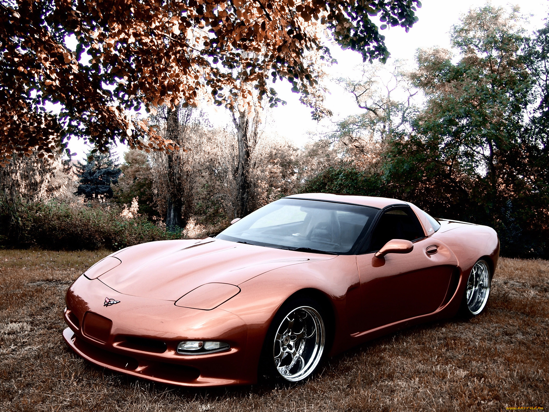 2011, wittera, chevrolet, corvette, c5, wide, body, 